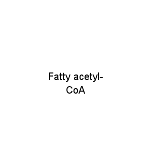 Fatty acetyl-CoA